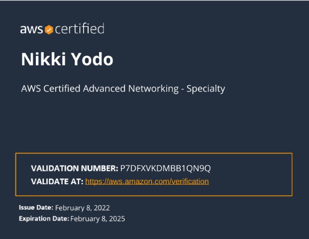 AWS Certified Advanced Networking - Specialty